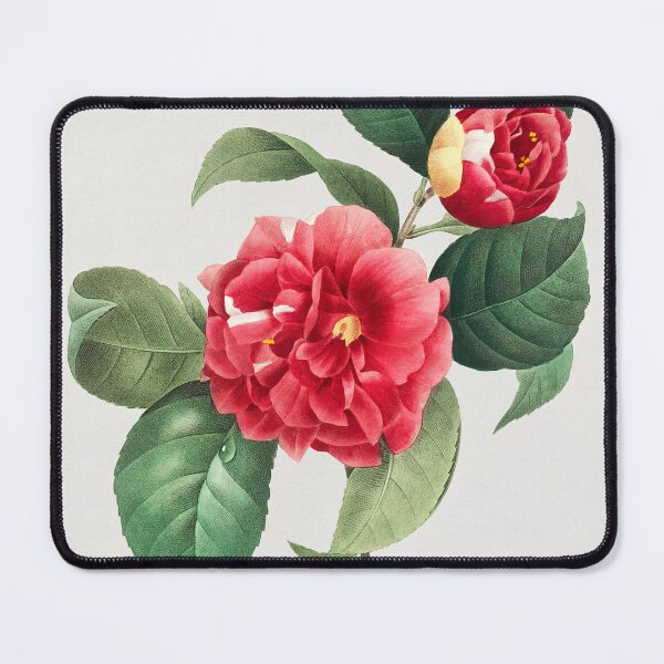 Item preview, Pierre-Joseph Redouté: Choix des plus belles fleurs (1833) designed and sold by 0Serendipity0.