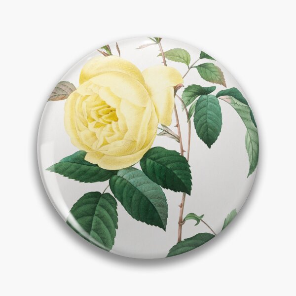 Item preview, Pierre-Joseph Redouté: Yellow Rose (1759–1840) designed and sold by 0Serendipity0.