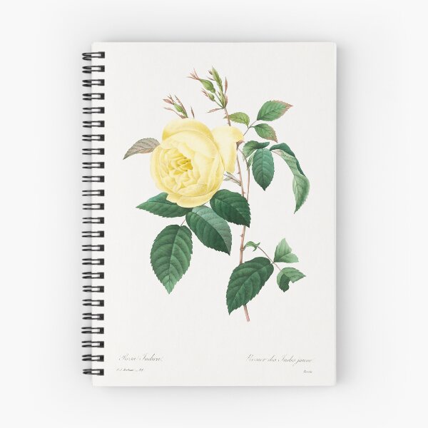 Item preview, Pierre-Joseph Redouté: Yellow Rose (1759–1840) designed and sold by 0Serendipity0.