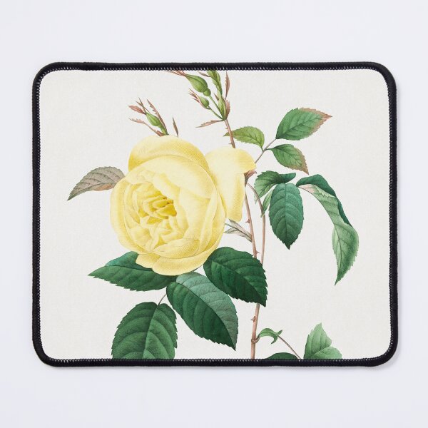 Item preview, Pierre-Joseph Redouté: Yellow Rose (1759–1840) designed and sold by 0Serendipity0.