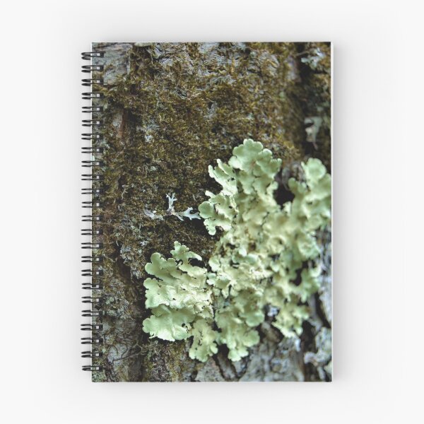 Item preview, untitled designed and sold by giftoftradition.