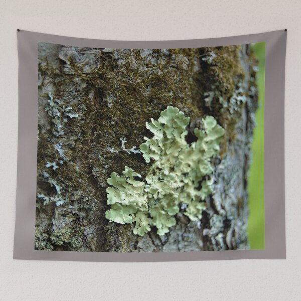 Item preview, untitled designed and sold by giftoftradition.