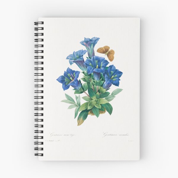Item preview, Pierre-Joseph Redouté: Gentiana Acaulis (1759–1840). designed and sold by 0Serendipity0.