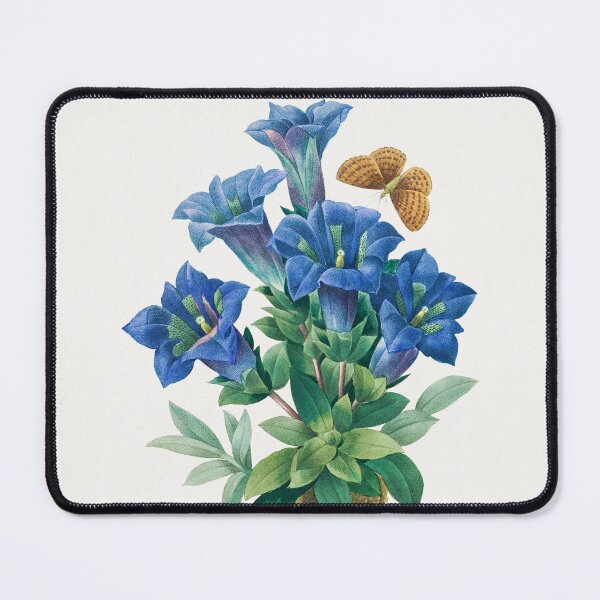 Item preview, Pierre-Joseph Redouté: Gentiana Acaulis (1759–1840). designed and sold by 0Serendipity0.