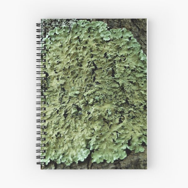 Item preview, untitled designed and sold by giftoftradition.