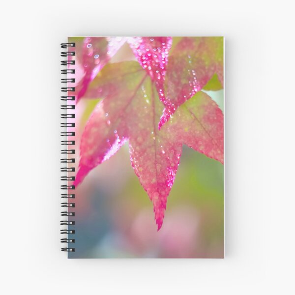 Item preview, Colourful Acer Leaves designed and sold by Alisonchambers2.