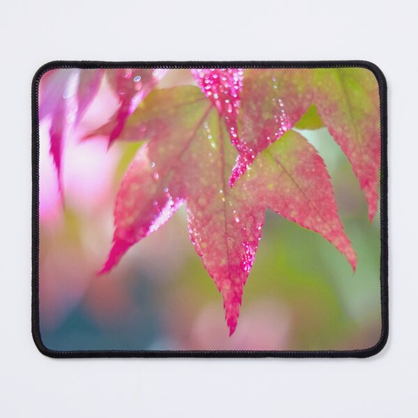 Item preview, Colourful Acer Leaves designed and sold by Alisonchambers2.