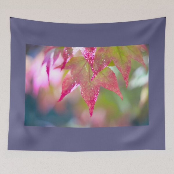 Item preview, Colourful Acer Leaves designed and sold by Alisonchambers2.