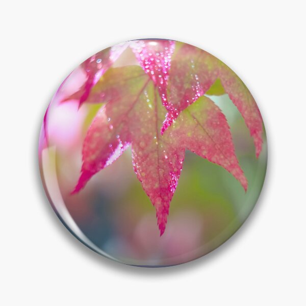 Item preview, Colourful Acer Leaves designed and sold by Alisonchambers2.