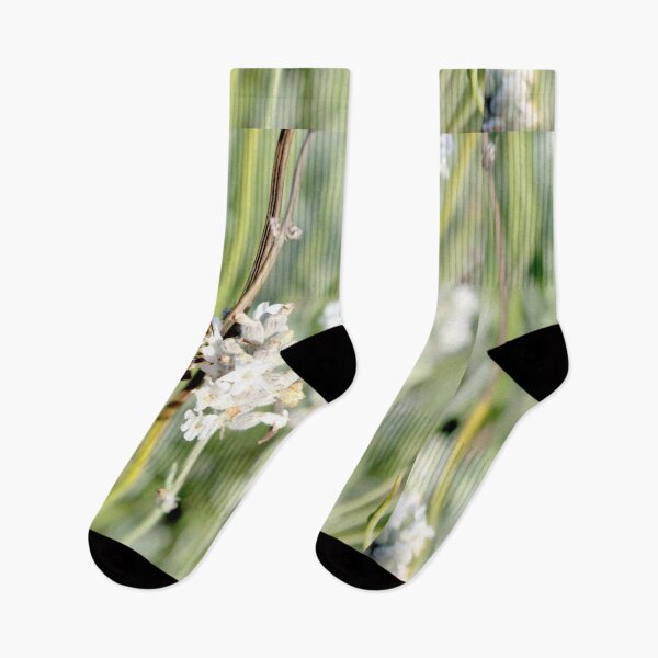 Item preview, Nature at work - Emu Bay Lavender Farm, KI designed and sold by imaginethis.