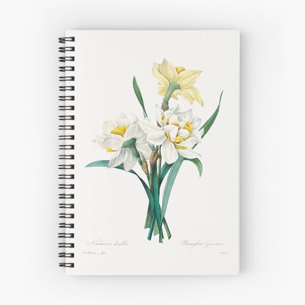 Item preview, Pierre-Joseph Redouté: Double Daffodil (1759–1840) designed and sold by 0Serendipity0.