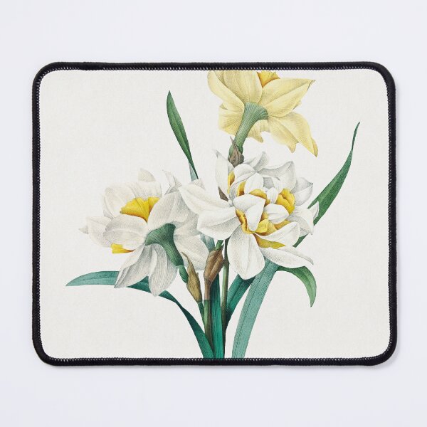 Item preview, Pierre-Joseph Redouté: Double Daffodil (1759–1840) designed and sold by 0Serendipity0.