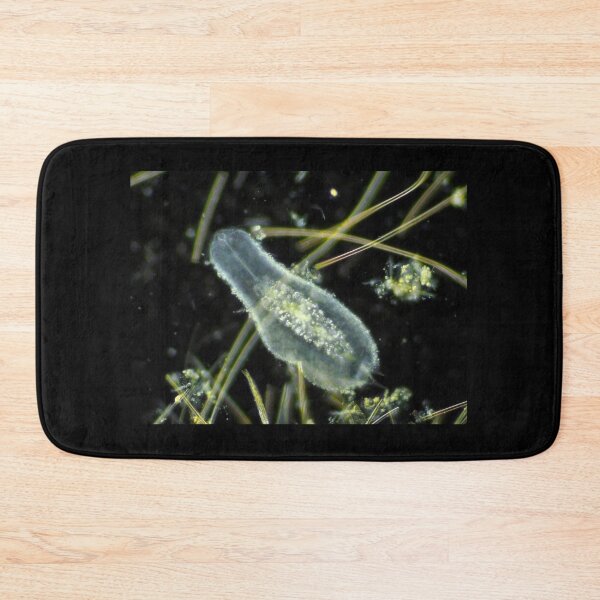 Item preview, Gastrotrich under the microscope designed and sold by SDym Photography.