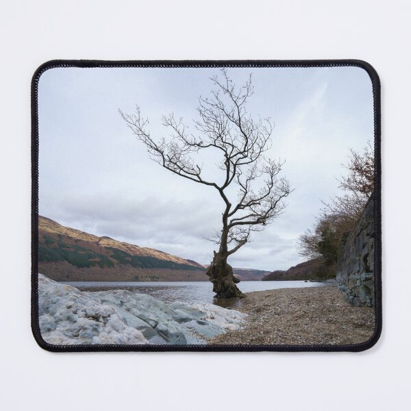 Item preview, Loch Lomond Firkin Point Single Tree designed and sold by rawshutterbug.