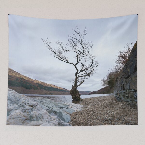 Item preview, Loch Lomond Firkin Point Single Tree designed and sold by rawshutterbug.