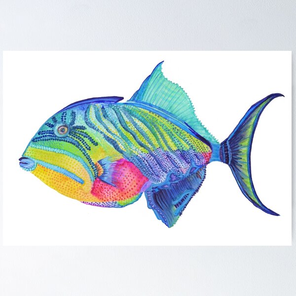 Item preview, Parrot Fish designed and sold by 3willows.