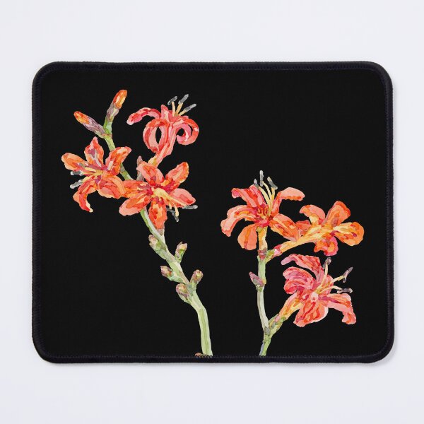 Item preview, Watercolour Crocosmia designed and sold by beccaboyce.