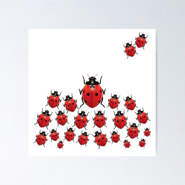 Item preview, Seven spot ladybugs assemble! designed and sold by Ricogfx.