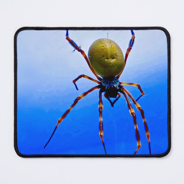 Item preview, The Golden Orb Weaver Spider  designed and sold by Mickangelhere.