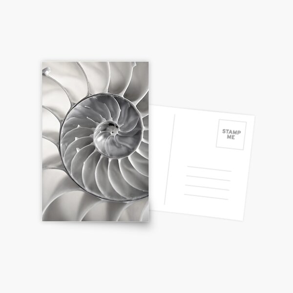 Item preview, Fibonacci designed and sold by Art in Nature.