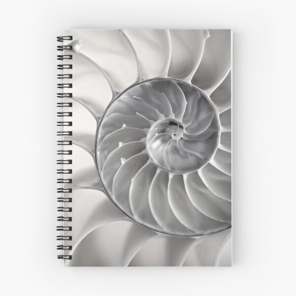 Aperçu de l'œuvre Fibonacci créée et vendue par Art in Nature.
