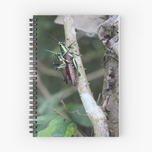Item preview, December ninth designed and sold by Overseaslife.