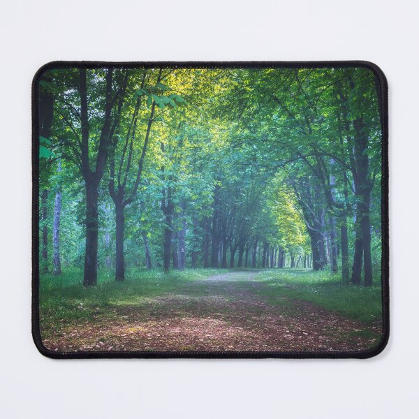 Item preview, On the road through the forest on Oplenac hill in Serbia designed and sold by Dejan Travica.