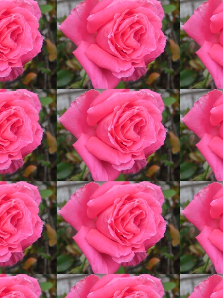 Pink Reverberation by pandpmedia