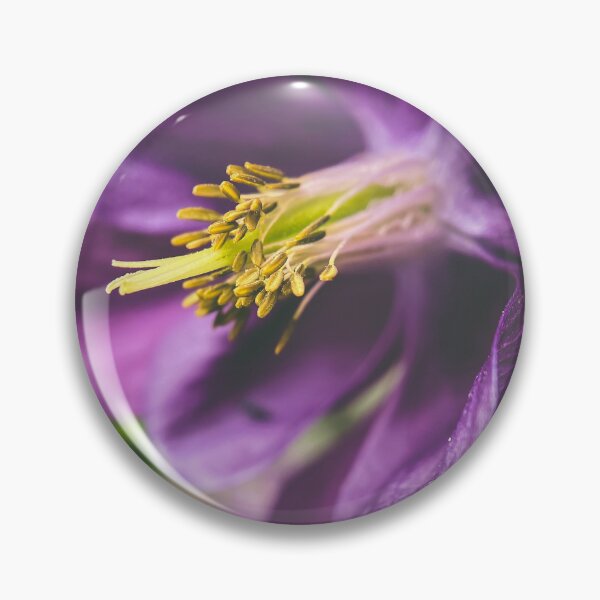 Item preview, Macro shot of Aquilegia vulgaris designed and sold by TimConstable.