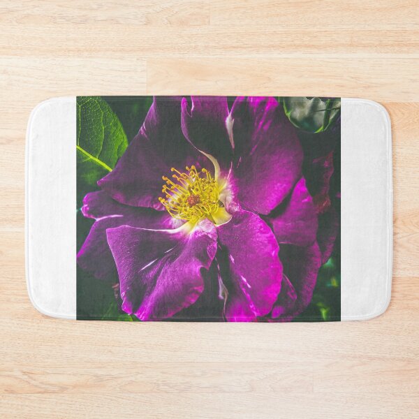 Item preview, Rosa rugosa (wild common rose) close up designed and sold by TimConstable.