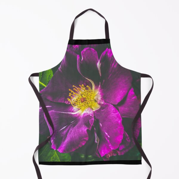 Item preview, Rosa rugosa (wild common rose) close up designed and sold by TimConstable.