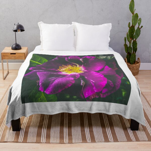 Item preview, Rosa rugosa (wild common rose) close up designed and sold by TimConstable.