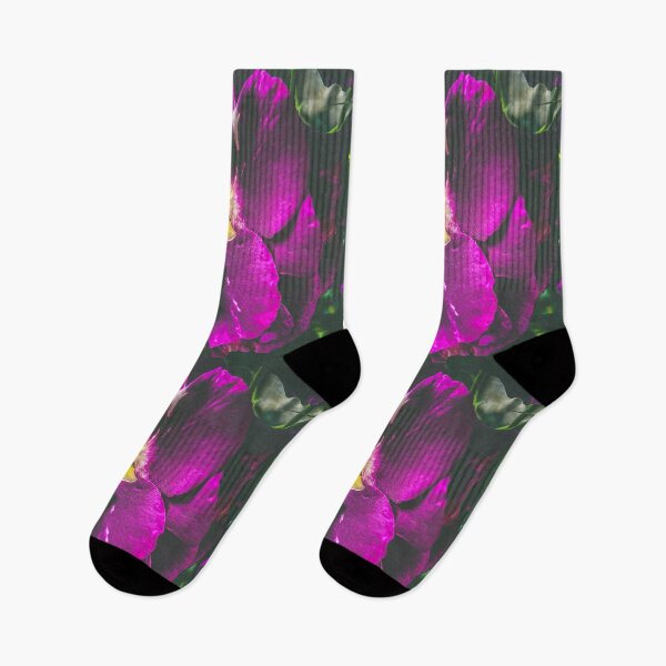 Item preview, Rosa rugosa (wild common rose) close up designed and sold by TimConstable.