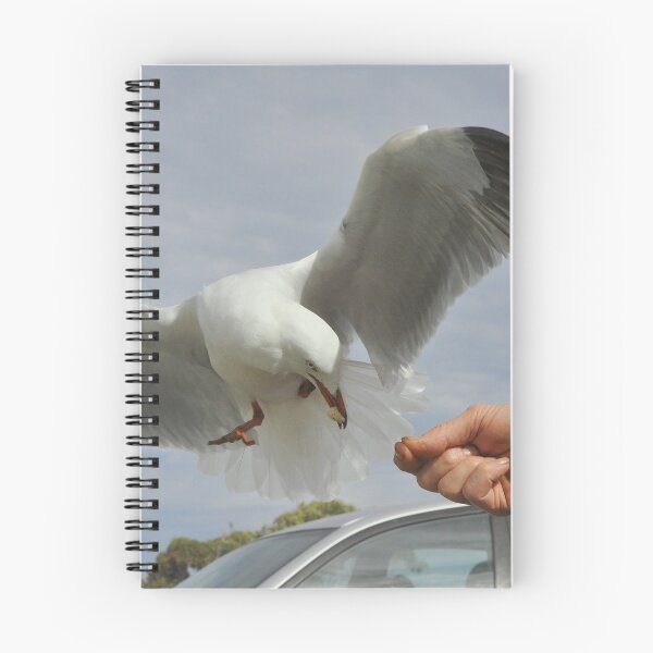 Item preview, Feeding seagull designed and sold by Julie Sherlock.