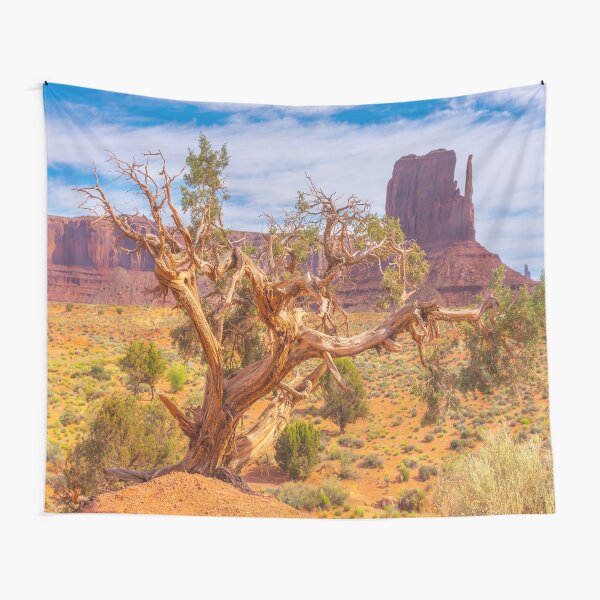 Monument Valley, USA Tapestry