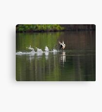 Walking On Water Canvas Print
