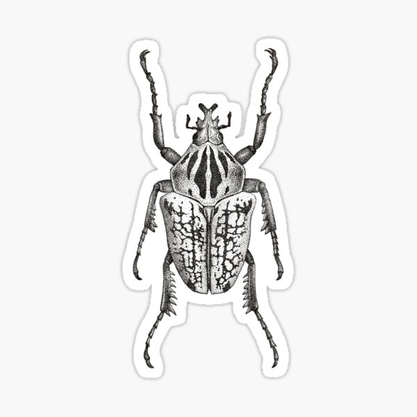 “Monochromatic Goliath Beetle” Sticker for Sale by MothThePainter