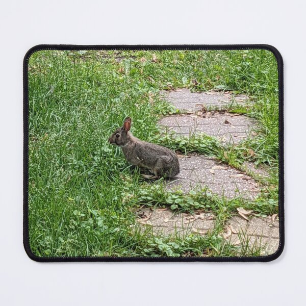 Item preview, Cautious Baby Bunny designed and sold by arfff.