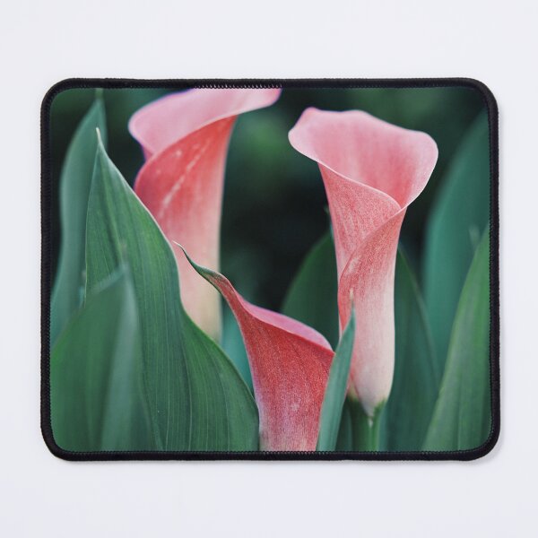 Item preview, Pink sludge flowers designed and sold by marygov.