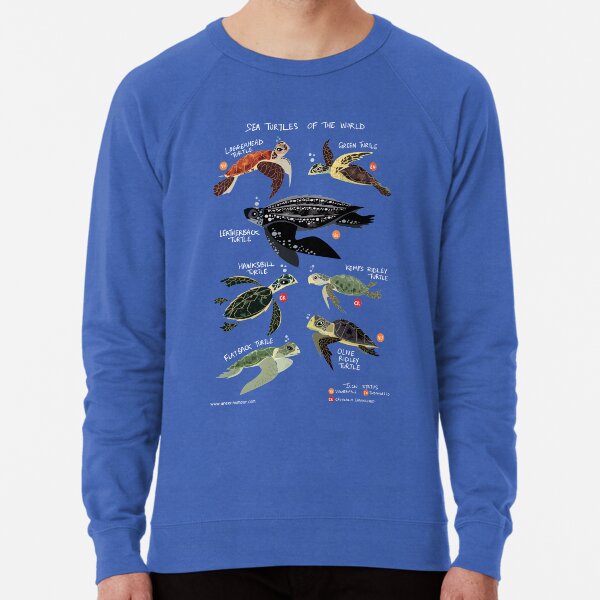 Sea turtles of deals the world sweater