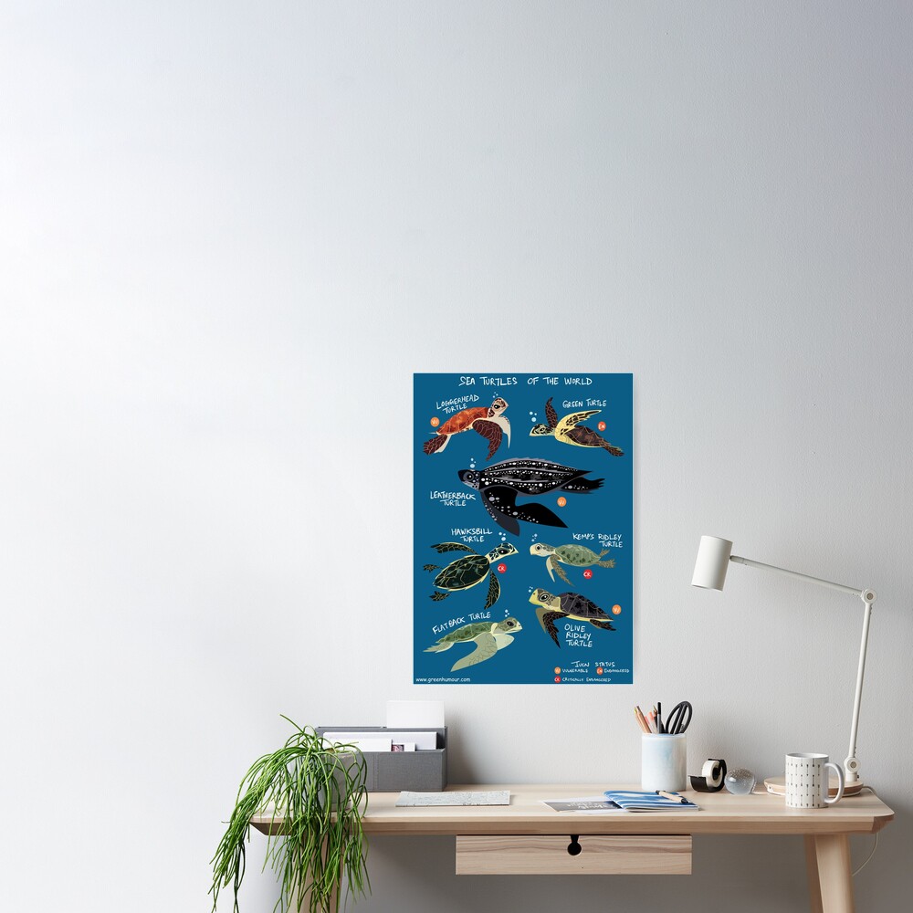 Sea Turtles of the World Poster
