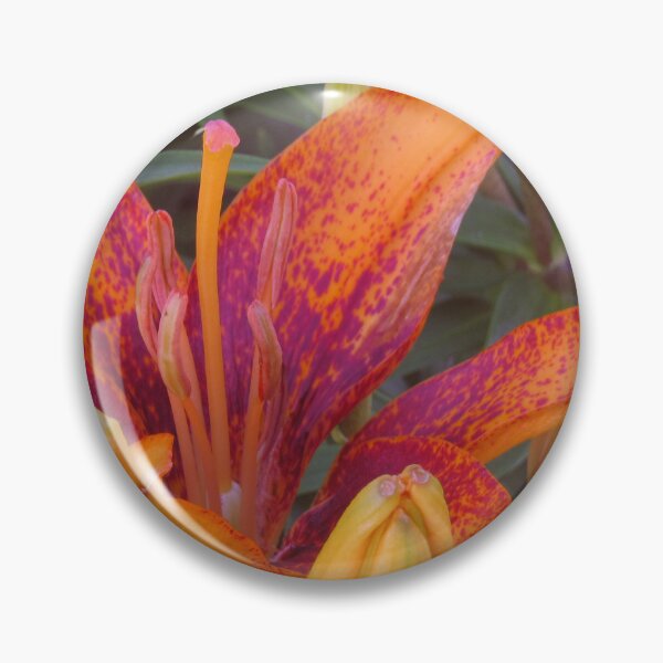 Item preview, Stunning Lily designed and sold by bertsworks300.