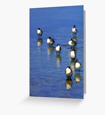 All together now! Greeting Card