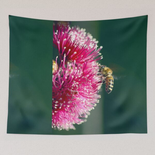 Item preview, Bee Drawn to a Flowering Gum Tree designed and sold by imaginethis.