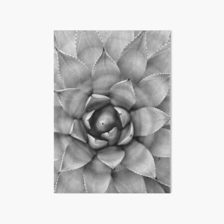 Black and White Succulent Cactus Agave Plant Print #2 Art Board Print