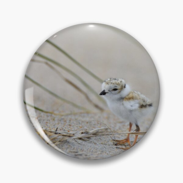Item preview, Baby Plover designed and sold by telley20.