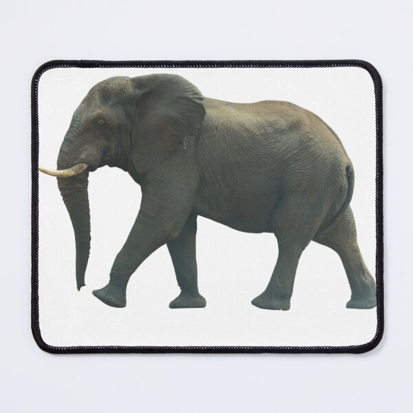 Item preview, African Bull Elephant designed and sold by FishEagle.
