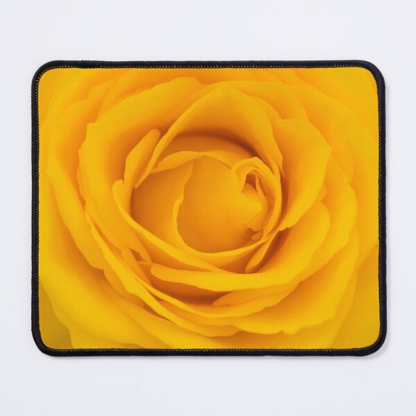 Item preview, Close-up of yellow rose designed and sold by Dolfilms.