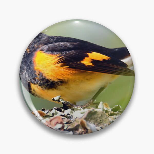 Item preview, american redstart designed and sold by telley20.