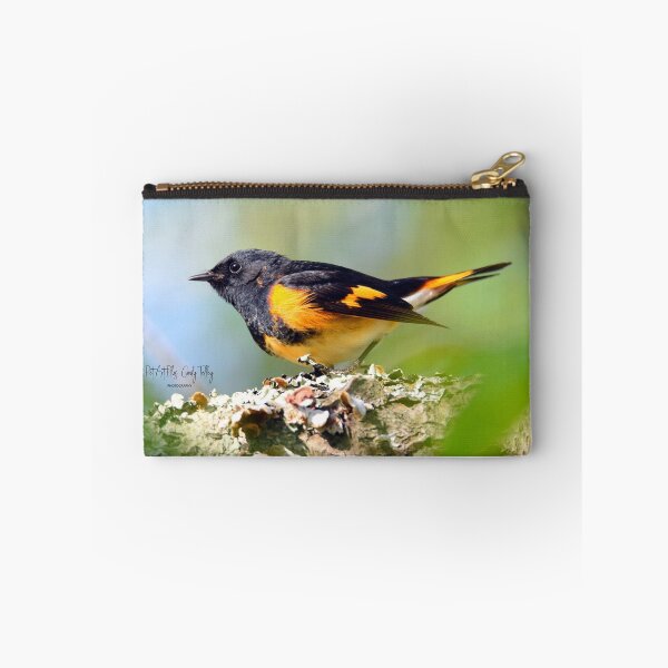 Item preview, american redstart designed and sold by telley20.